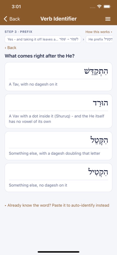 iHebrew Verb Identifier asking what comes right after the He, with four Hebrew example choices
