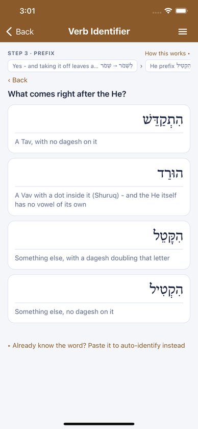 Verb Identifier asking what comes right after the He, with four Hebrew examples to choose from